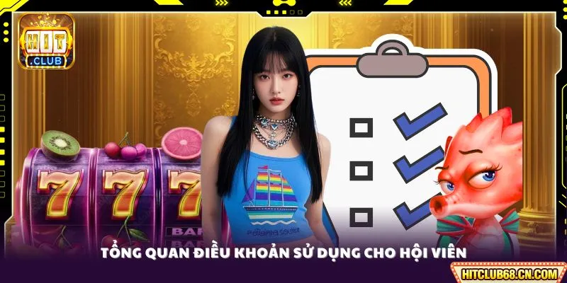 Tổng quan điều khoản sử dụng cho hội viên